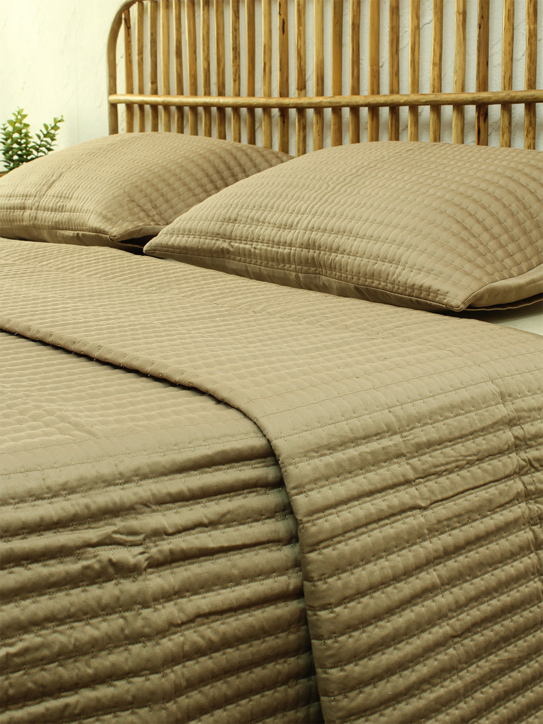 Periyar 1 Double Bedcover 2 Pillow Covers (Beige)