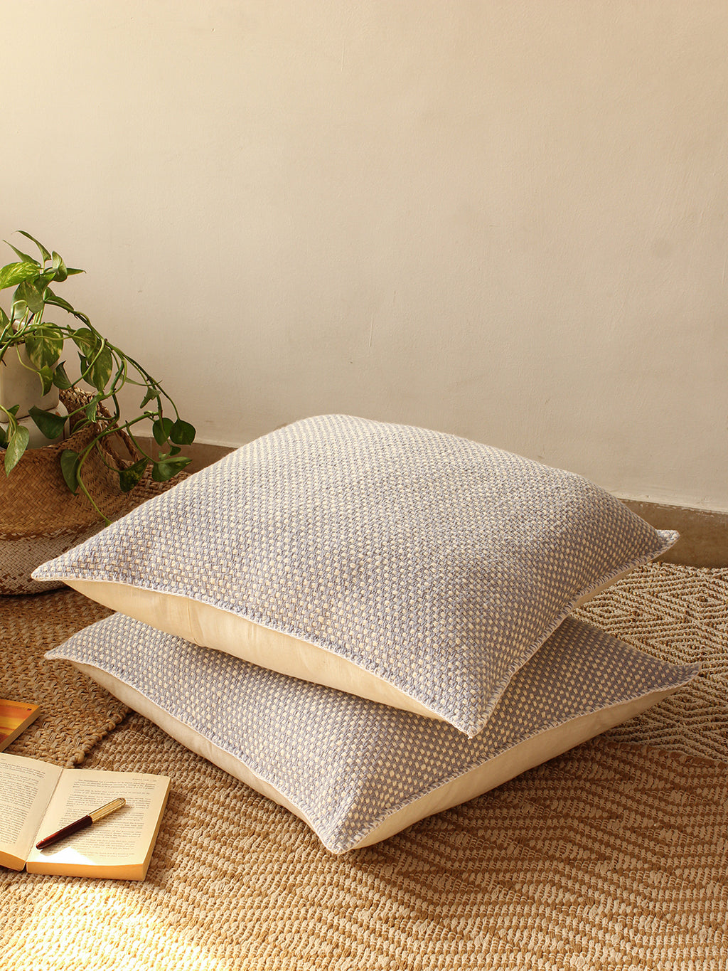 Vindhya - Set Of 2 Cushion Covers (Light Blue) - Large